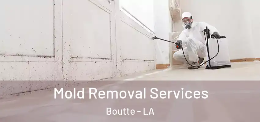  Mold Removal Services Boutte - LA
