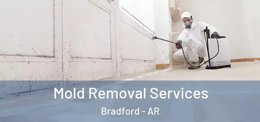  Mold Removal Services Bradford - AR