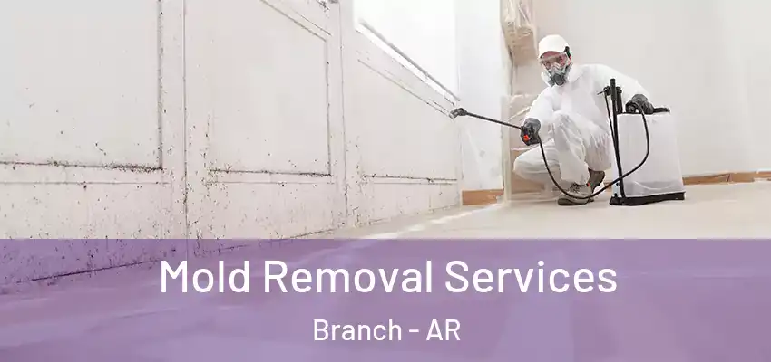 Mold Removal Services Branch - AR