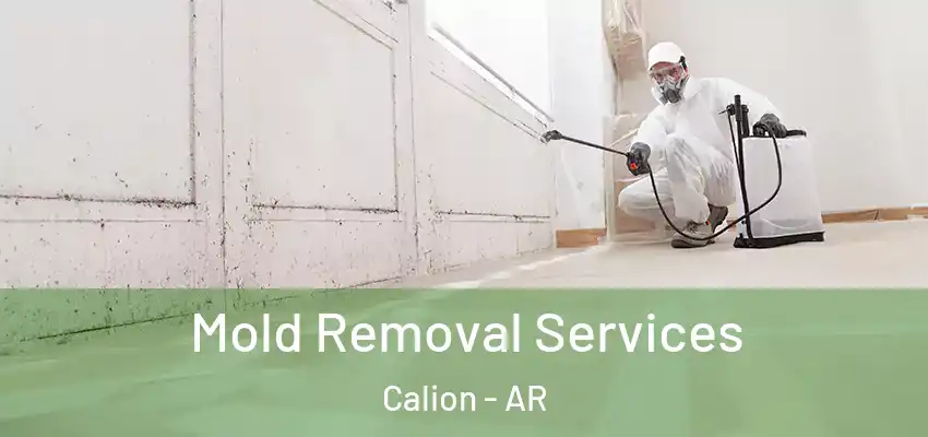  Mold Removal Services Calion - AR