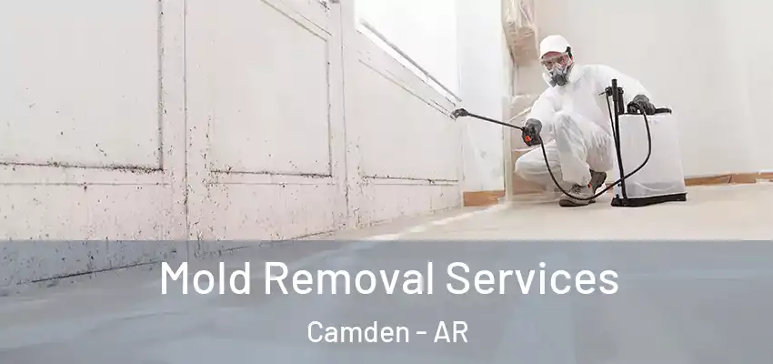 Mold Removal Services Camden - AR