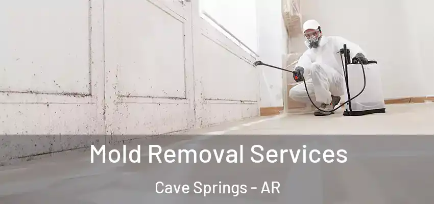 Mold Removal Services Cave Springs - AR