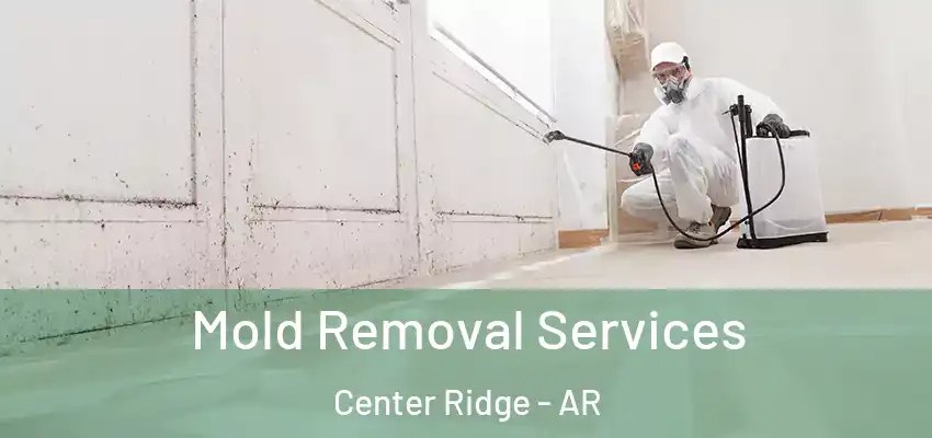 Mold Removal Services Center Ridge - AR
