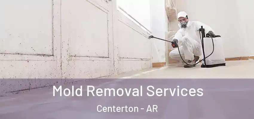  Mold Removal Services Centerton - AR