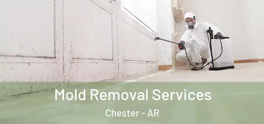 Mold Removal Services Chester - AR