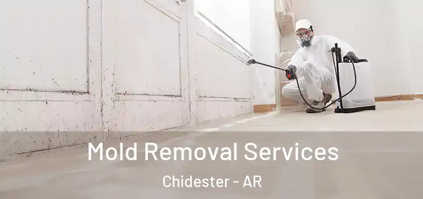  Mold Removal Services Chidester - AR