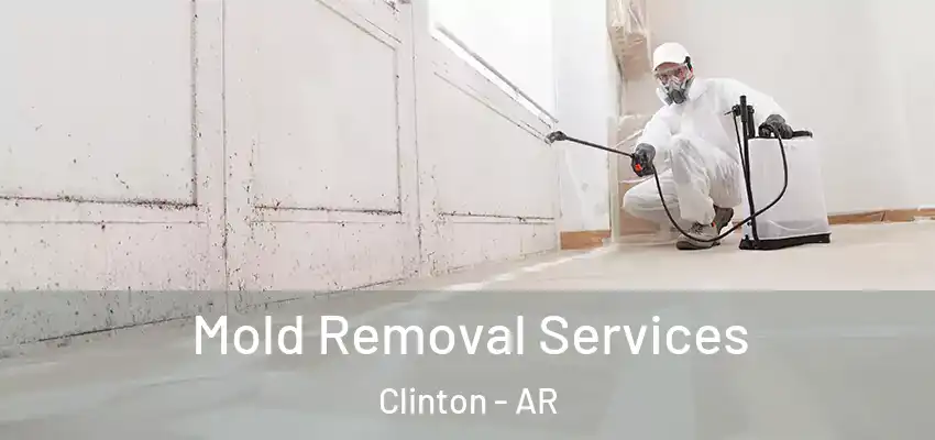  Mold Removal Services Clinton - AR