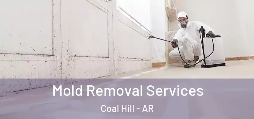 Mold Removal Services Coal Hill - AR