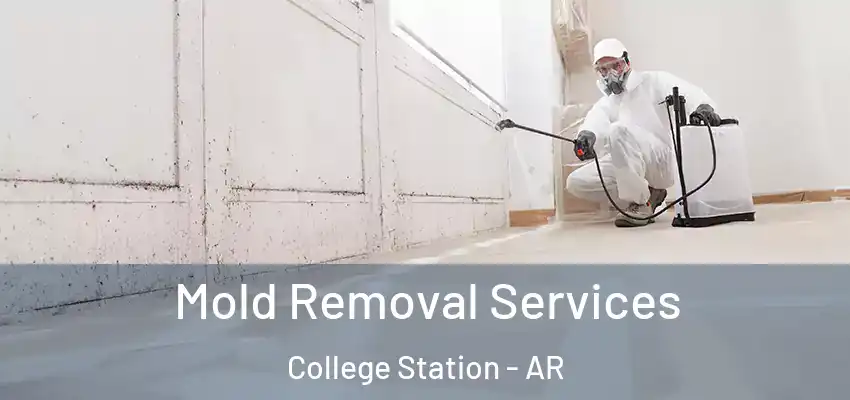  Mold Removal Services College Station - AR