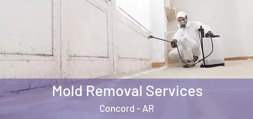 Mold Removal Services Concord - AR