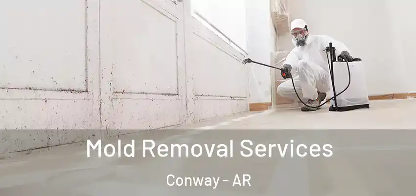  Mold Removal Services Conway - AR