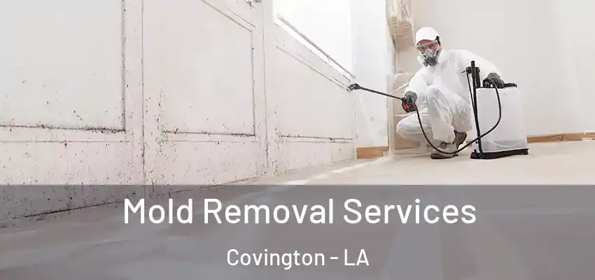  Mold Removal Services Covington - LA