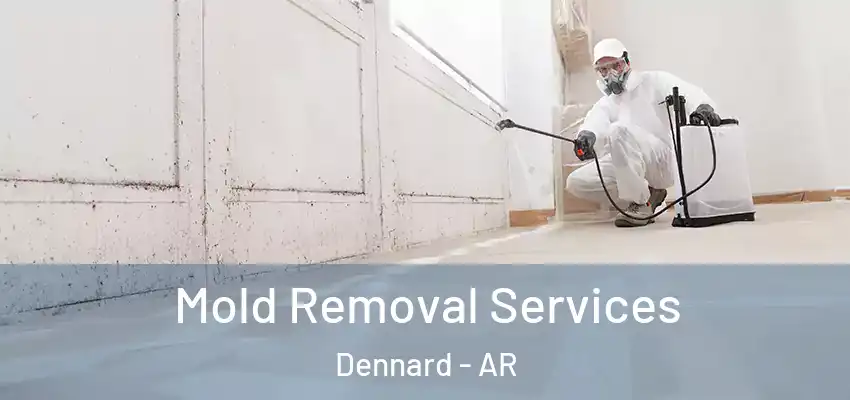  Mold Removal Services Dennard - AR