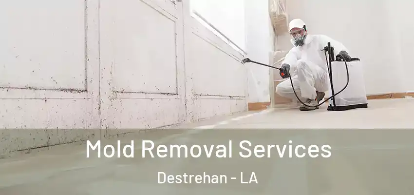 Mold Removal Services Destrehan - LA