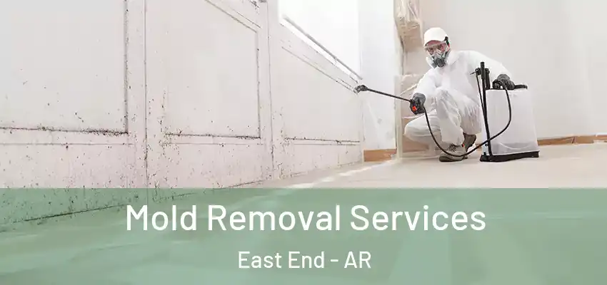 Mold Removal Services East End - AR