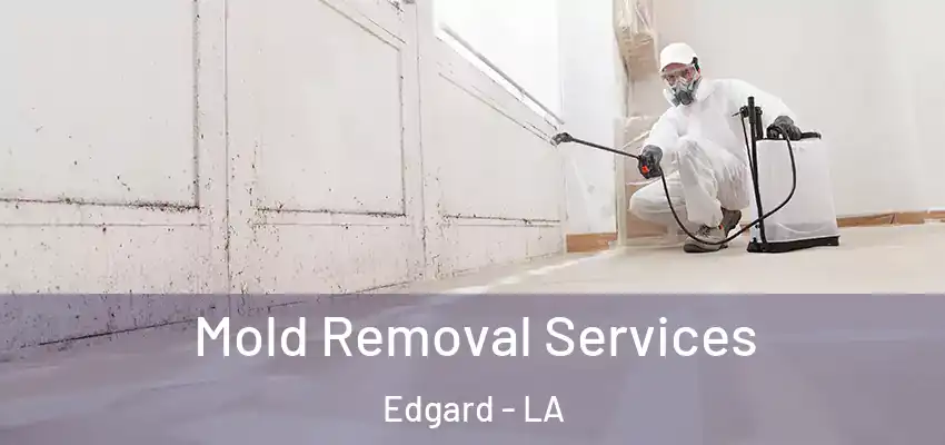  Mold Removal Services Edgard - LA