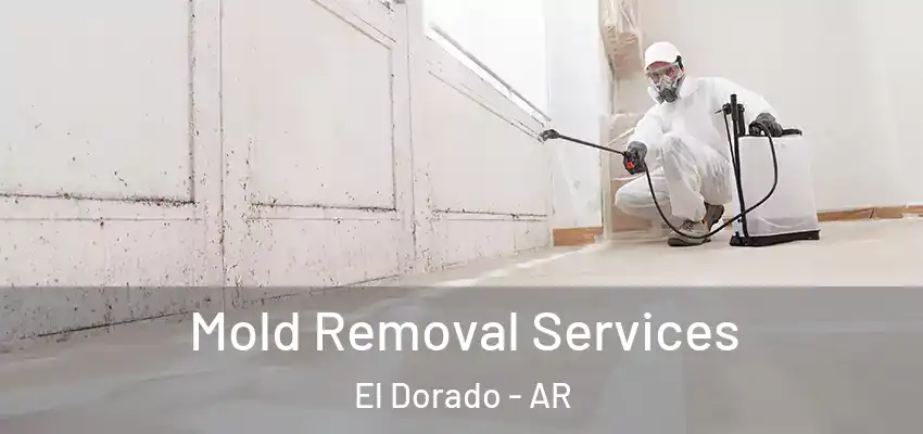  Mold Removal Services El Dorado - AR