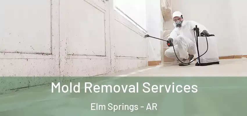  Mold Removal Services Elm Springs - AR
