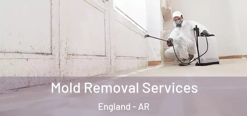  Mold Removal Services England - AR
