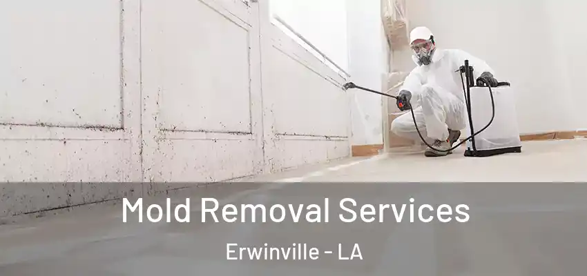  Mold Removal Services Erwinville - LA
