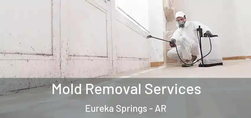 Mold Removal Services Eureka Springs - AR