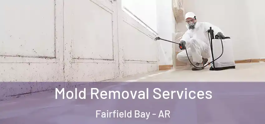  Mold Removal Services Fairfield Bay - AR