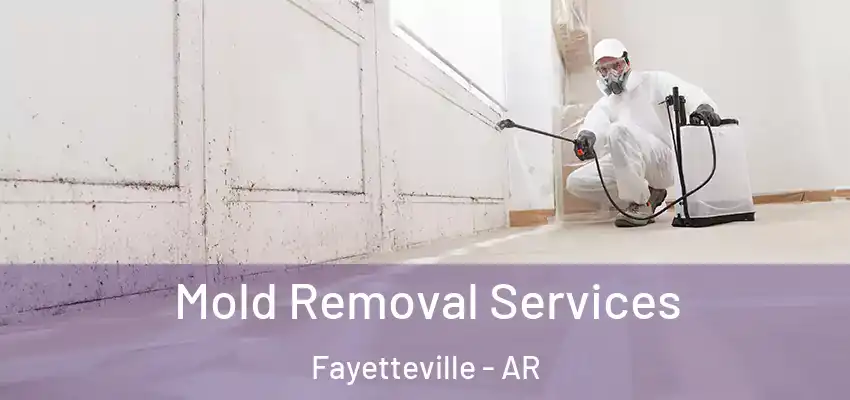 Mold Removal Services Fayetteville - AR