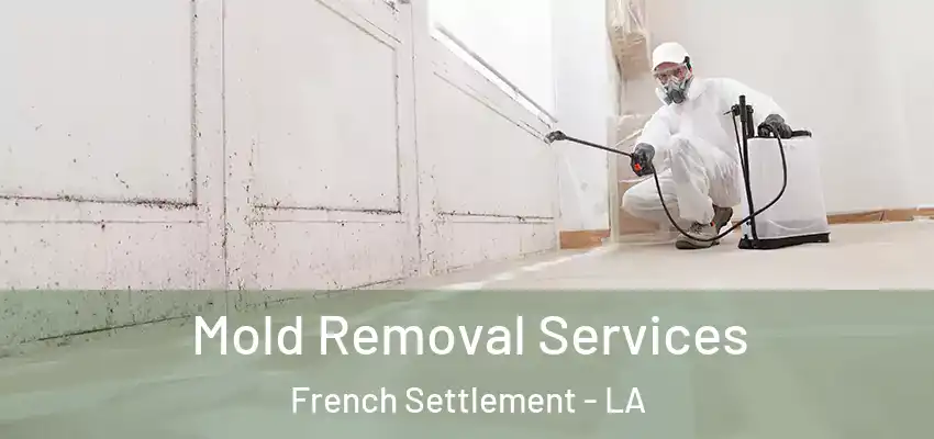  Mold Removal Services French Settlement - LA