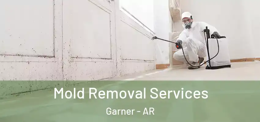 Mold Removal Services Garner - AR