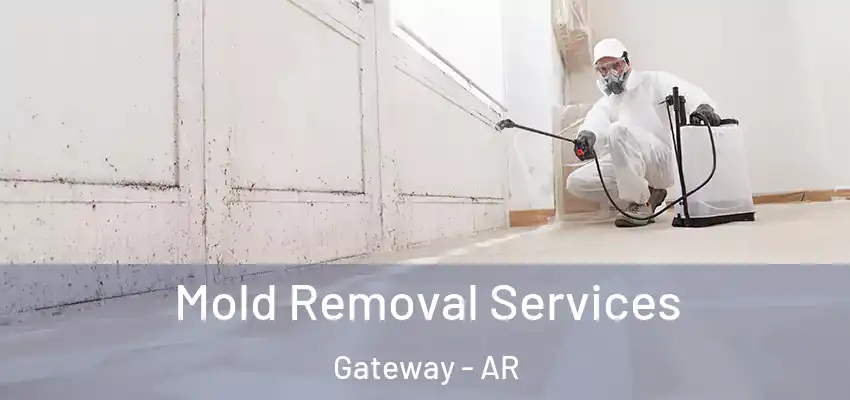 Mold Removal Services Gateway - AR