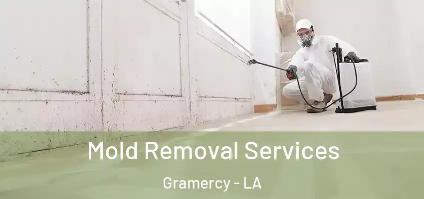  Mold Removal Services Gramercy - LA