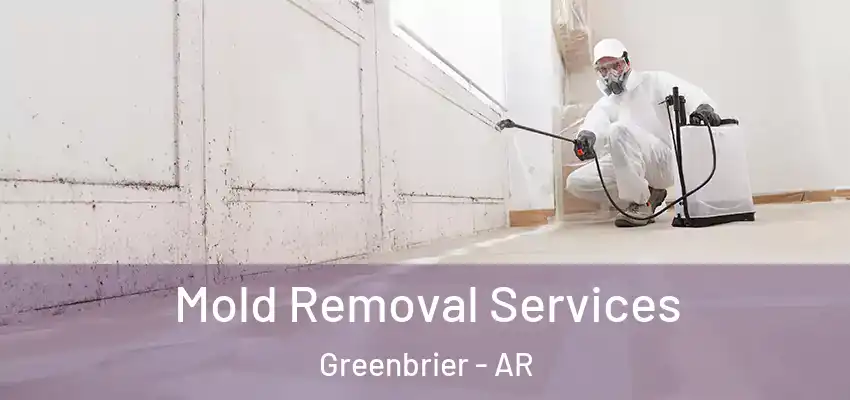  Mold Removal Services Greenbrier - AR