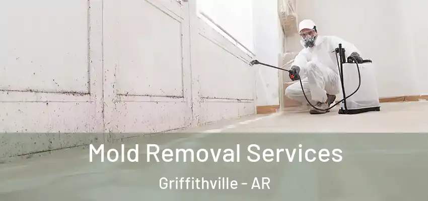  Mold Removal Services Griffithville - AR