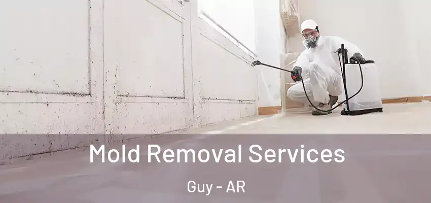 Mold Removal Services Guy - AR