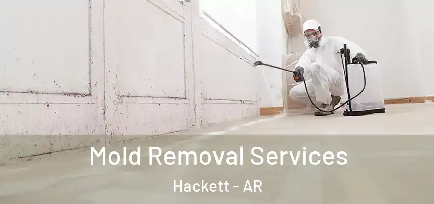 Mold Removal Services Hackett - AR