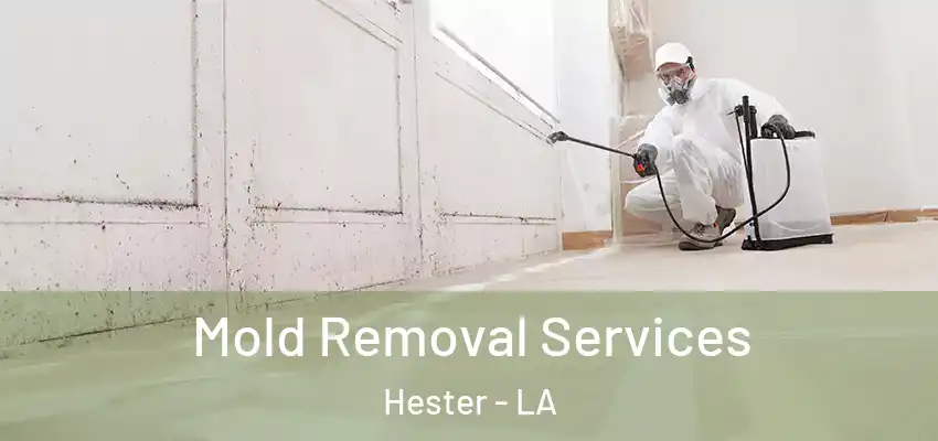  Mold Removal Services Hester - LA
