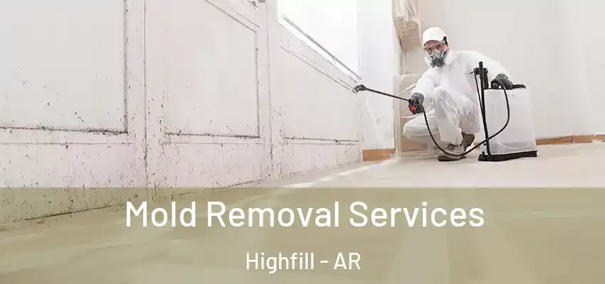 Mold Removal Services Highfill - AR