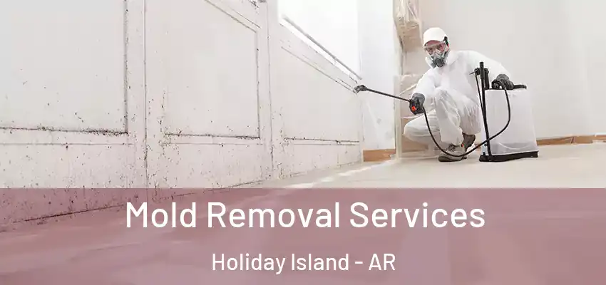  Mold Removal Services Holiday Island - AR