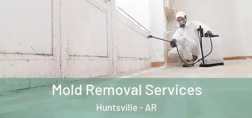  Mold Removal Services Huntsville - AR