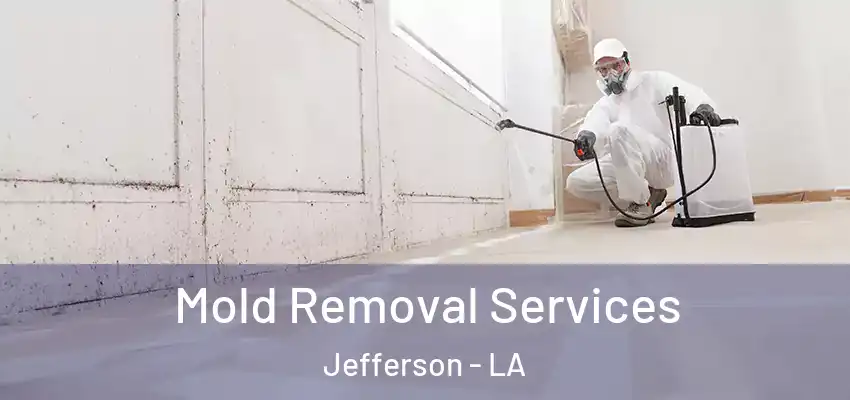  Mold Removal Services Jefferson - LA