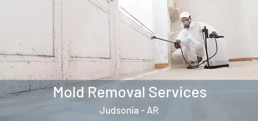  Mold Removal Services Judsonia - AR
