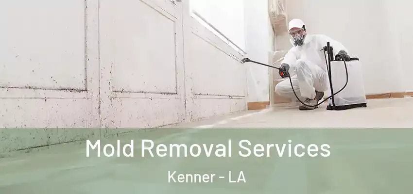  Mold Removal Services Kenner - LA