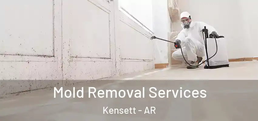  Mold Removal Services Kensett - AR