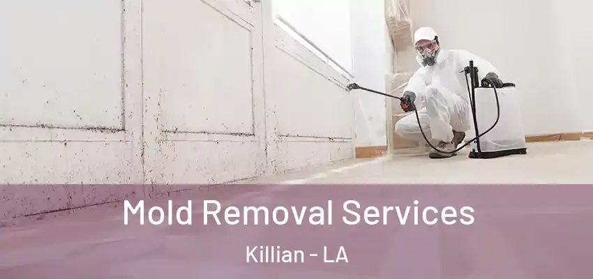  Mold Removal Services Killian - LA