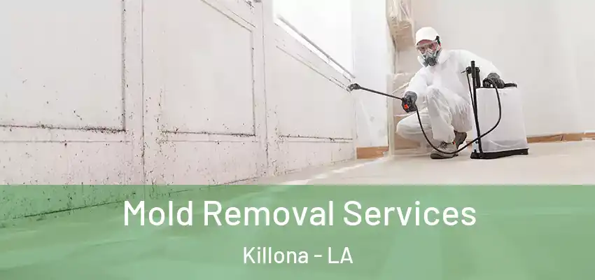 Mold Removal Services Killona - LA
