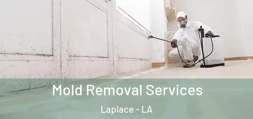  Mold Removal Services Laplace - LA