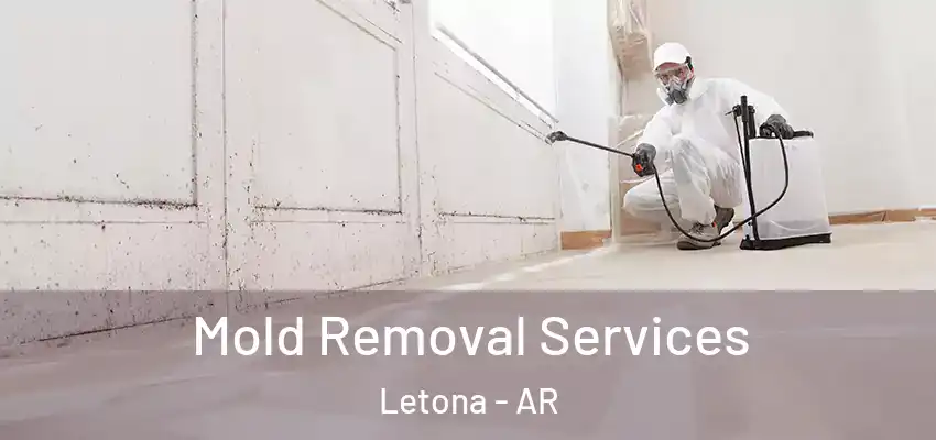Mold Removal Services Letona - AR