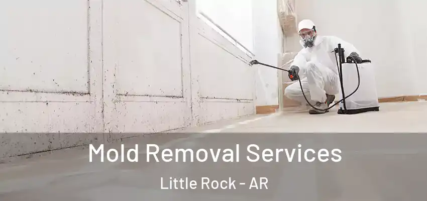  Mold Removal Services Little Rock - AR