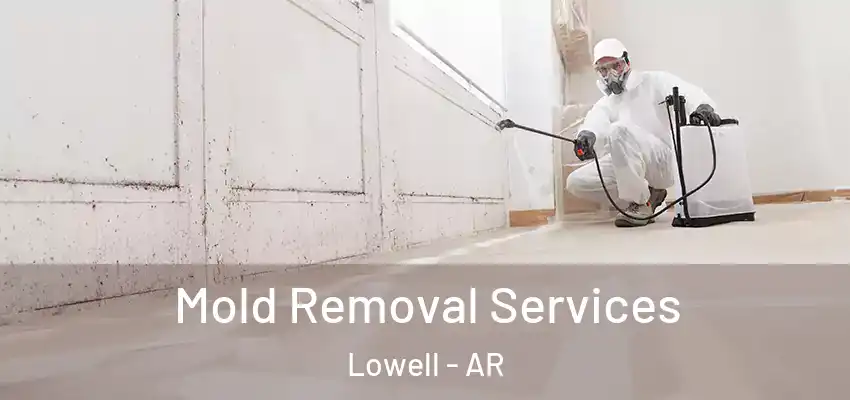Mold Removal Services Lowell - AR
