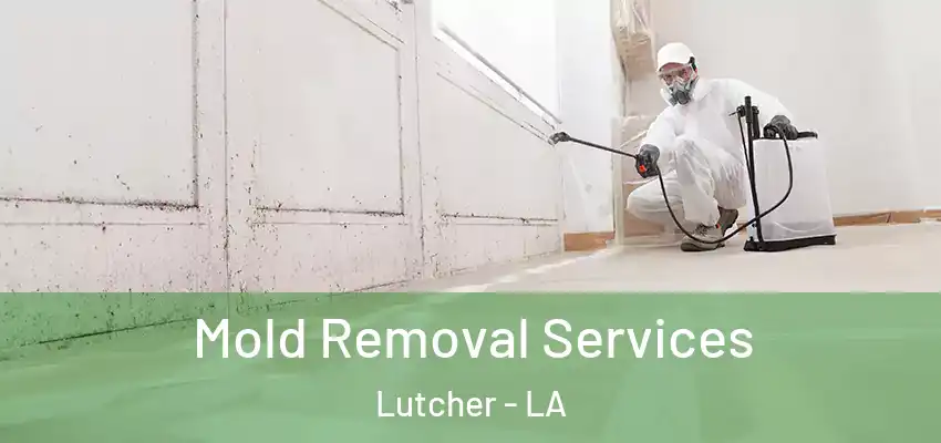  Mold Removal Services Lutcher - LA